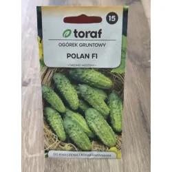 Ogórek gruntowy Polan F1 Ogórek gruntowy Polan F1